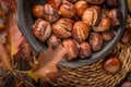 Roasted chestnuts and leaves Royalty Free Stock Photo