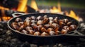 Roasted chestnuts with sugar and spice salt presented in a grill pan. Typical autumn dish. Taste chestnuts roasted