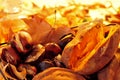 Roasted chestnuts and sweet potatoes Royalty Free Stock Photo