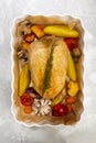 Roasted chicken breast with backed vegetables Royalty Free Stock Photo