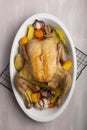 Roasted chicken breast with backed vegetables Royalty Free Stock Photo