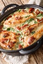 Roasted chicken breast in a creamy sauce with sun-dried tomatoes and spinach close-up in a pan. vertical Royalty Free Stock Photo