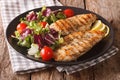 Roasted Chicken breast with mix salad of chicory, tomatoes and l Royalty Free Stock Photo