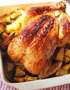 Roasted chicken with potatoes in ceramic bowl Royalty Free Stock Photo