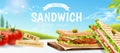 Roasted chicken sandwich ads