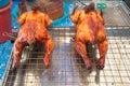 Roasted chicken thai style Royalty Free Stock Photo