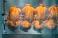 Roasted chickens on rotisserie at market