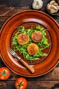 Roasted chickpeas falafel patties with arugula on a plate. Dark wooden background. Top view Royalty Free Stock Photo