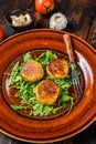 Roasted chickpeas falafel patties with arugula on a plate. Dark wooden background. Top view Royalty Free Stock Photo