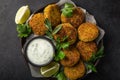 Roasted chickpeas falafel patties with garlic yogurt sauce Royalty Free Stock Photo