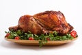 Roasted christmas turkey Royalty Free Stock Photo