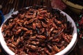 Roasted cockroaches