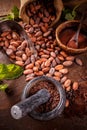 Roasted cocoa beans