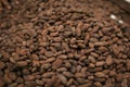 Roasted cocoa beans