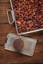 Roasted cocoa beans and 100% solid chocolate Royalty Free Stock Photo