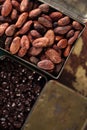 roasted cocoa chocolate beans in Vintage heavy cast aluminum roasting pan Royalty Free Stock Photo