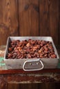 roasted cocoa chocolate beans in Vintage heavy cast aluminum roasting pan Royalty Free Stock Photo