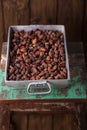 Roasted cocoa chocolate beans in Vintage heavy cast aluminum roa Royalty Free Stock Photo