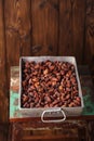 Roasted cocoa chocolate beans in Vintage heavy cast aluminum roa