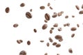 Roasted coffee bean falling on air white background