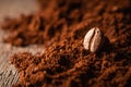 Roasted coffee bean on the mound of ground coffee. Macro shot. Coffee theme. Selective focus.