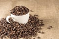 Roasted coffee bean in white cup Royalty Free Stock Photo