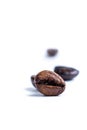 Roasted coffee beanon white Royalty Free Stock Photo