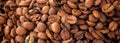 Roasted coffee beans background Royalty Free Stock Photo