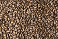 Roasted coffee beans background - full frame detail. Royalty Free Stock Photo