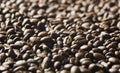 Roasted coffee beans background - full frame detail. Royalty Free Stock Photo