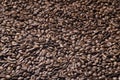 Roasted coffee beans background - full frame detail. Royalty Free Stock Photo