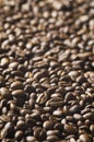 Roasted coffee beans background - full frame detail. Royalty Free Stock Photo