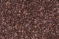 Roasted coffee beans background, Photo coffee close up