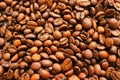 Roasted coffee beans background texture. Arabic roasting coffee