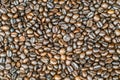 Roasted Coffee Beans background texture. Royalty Free Stock Photo