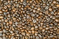 Roasted Coffee Beans background texture. Royalty Free Stock Photo