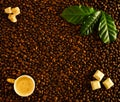 Roasted coffee beans background with white cup full of espresso with foam, top view. On beans lie fresh green coffee leaves, brown Royalty Free Stock Photo