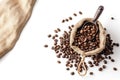Roasted Coffee Beans in Bag with Old Scoop Isolated on White Backgroundtop View Royalty Free Stock Photo