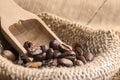 Roasted coffee beans in a burlap sack with spoon Royalty Free Stock Photo