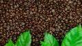 Roasted coffee beans, can be used as a background Royalty Free Stock Photo