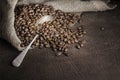 Roasted coffee beans chocolaty toned still life