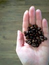 Roasted coffee beans Royalty Free Stock Photo