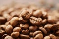 Roasted coffee beans close up. Espresso dark, aroma, black caffeine drink. Royalty Free Stock Photo