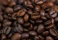 Roasted coffee beans detail, close up view, coffee concept, coffee detail Royalty Free Stock Photo