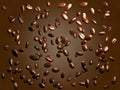 Roasted coffee beans falling down Royalty Free Stock Photo