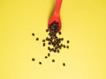 Roasted coffee beans falling down from metal scoop Royalty Free Stock Photo
