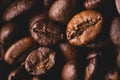 Roasted coffee beans full frame background Close up macro dark brown Royalty Free Stock Photo