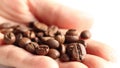 Roasted coffee beans in a girl's hand