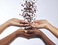 Diverse hands gracefully catching fresh roasted coffee beans symbolizing harvest unity and global Royalty Free Stock Photo