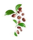 Roasted coffee beans with green leaves in the air isolated on a white background Royalty Free Stock Photo